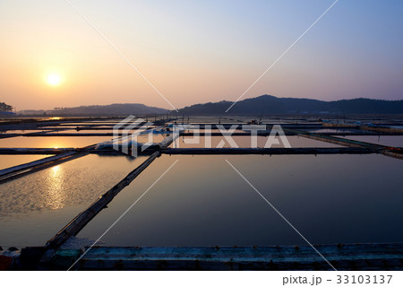 夕焼け 塩田 泰安郡 33103137