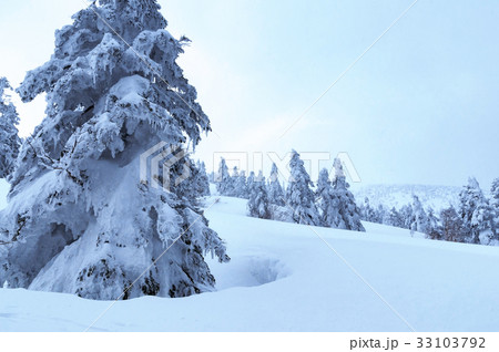 【青森県八甲田山中】冬の八甲田連峰 【青森県八甲田山中】冬の八甲田連峰 33103792