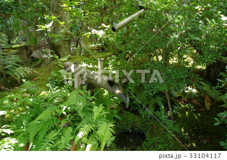 ししおどし 33104117