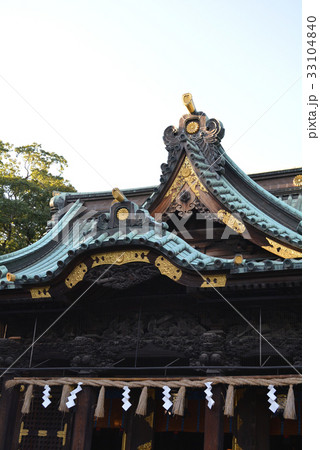 静岡県三島市 三嶋大社 本殿 静岡県三島市 三嶋大社 本殿 33104840