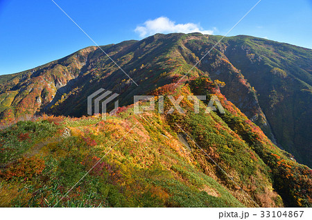 日向山付近から見上げる秋の中ノ岳 越後三山 日向山付近から見上げる秋の中ノ岳 越後三山 33104867