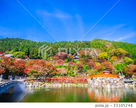 勝尾寺の弁天池と紅葉 勝尾寺の弁天池と紅葉 33105248