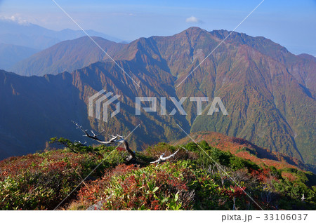 越後駒ケ岳グシガハナからの紅葉の尾根と八海山 越後駒ケ岳グシガハナからの紅葉の尾根と八海山 33106037