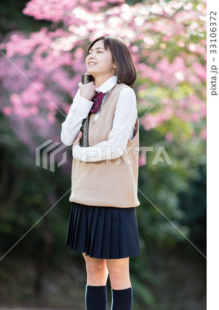 桜と女学生 33106372