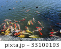 岡山　後楽園イメージ 33109193