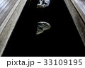 岡山　後楽園イメージ 33109195