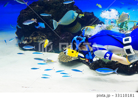 池袋サンシャイン水族館　水中パフォーマンス 33110181