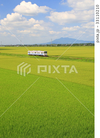 夏の関東鉄道と田んぼ 33110210