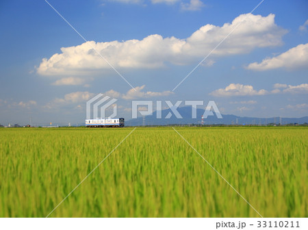 夏の関東鉄道と田んぼ 33110211