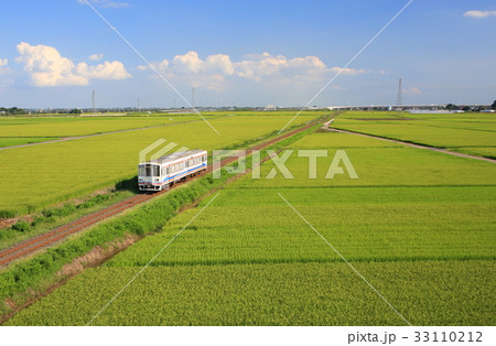 夏の関東鉄道と田んぼ 33110212