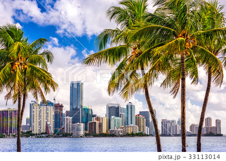 Miami, Florida, USA 33113014