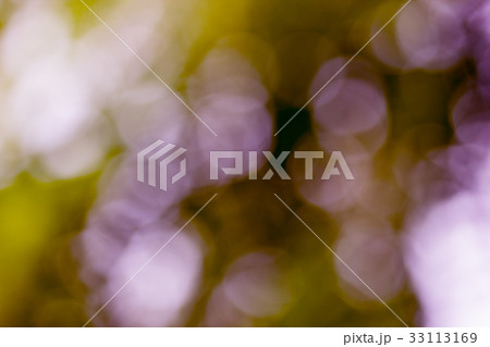 Beautiful abstract golden and purple bokeh  33113169