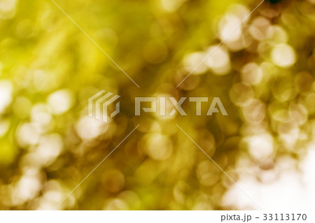 Abstract golden bokeh defocus. 33113170