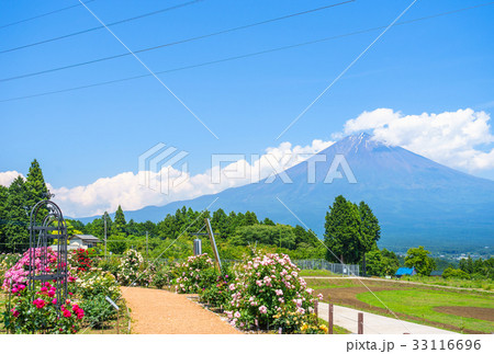 白糸自然公園から見た富士山 33116696