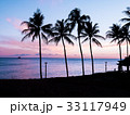 Kakaako Waterfront Park - Oahu, Hawaii 33117949
