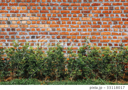 Red brick wall Red brick wall 33118017