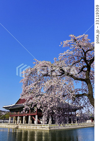 宮殿 遺跡 韓国 33119369