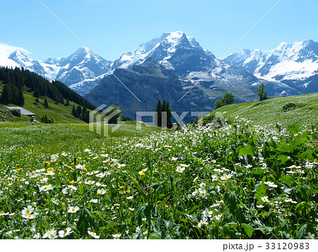 花の谷ブルーメンタールからユングフラウの眺め 33120983