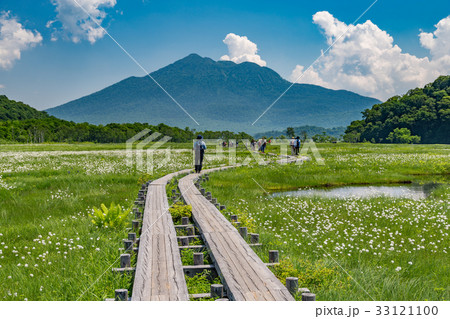 尾瀬ヶ原ワタスゲ群落と燧ケ岳 33121100