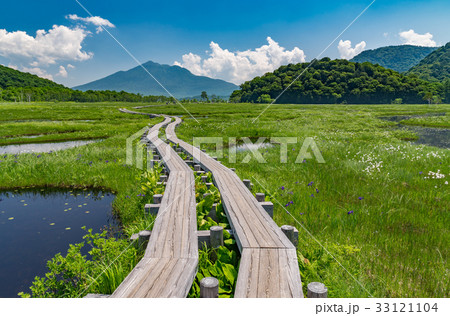 尾瀬ヶ原ワタスゲ群落と燧ケ岳 33121104