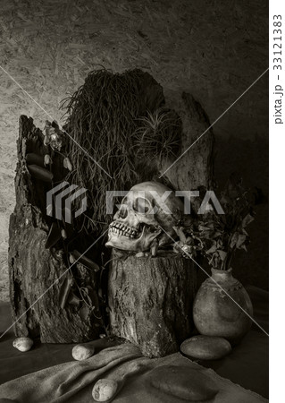 Still life with a human skull with desert plants 33121383