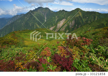 越後三山　御月山祓川に広がる草原と越後駒ケ岳 33121858