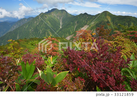 越後三山 御月山祓川に広がる草原と越後駒ケ岳 越後三山 御月山祓川に広がる草原と越後駒ケ岳 33121859