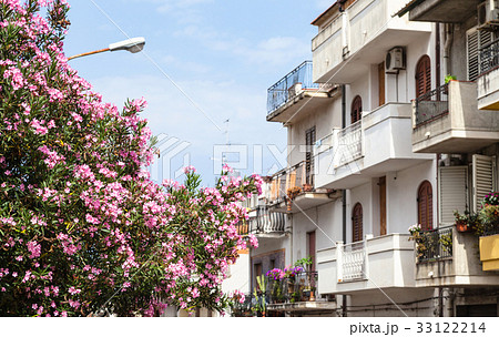 oleander tree and houses in Giardini Naxos town oleander tree and houses in Giardini Naxos town 33122214