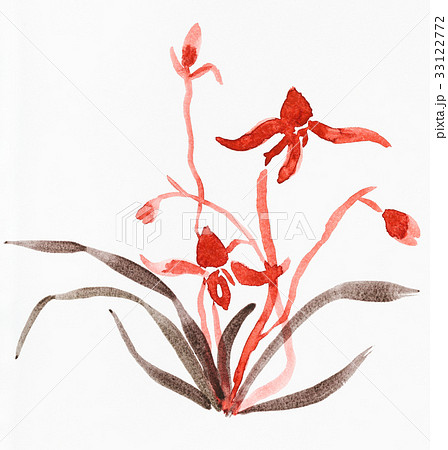 sketch of orchid flower on white paper 33122772