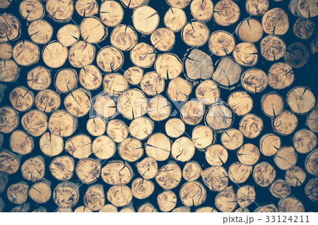 a pile of cut wood stump log texture 33124211