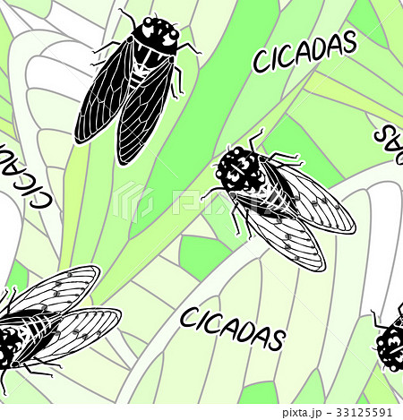 セミのシームレスパターン（緑） 33125591