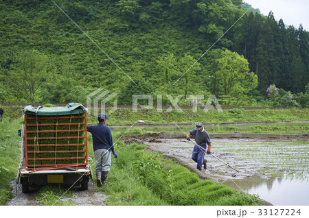 田植え 農家 男性 田植え 農家 男性 33127224