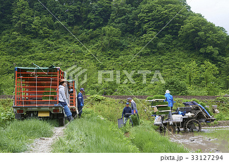 田植え　準備　苗　田植え機 33127294