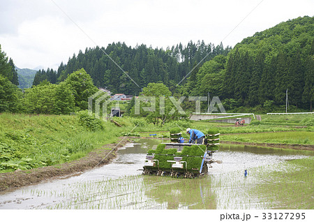 田植え 田植え機 男性 田植え 田植え機 男性 33127295