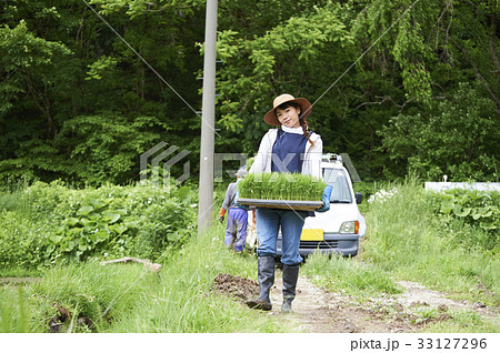 田植えの準備をする男女 33127296