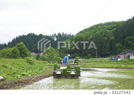 田植え 田植え機 男性 田植え 田植え機 男性 33127342
