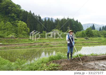 田植え 代掻きをする女性 田植え 代掻きをする女性 33127377