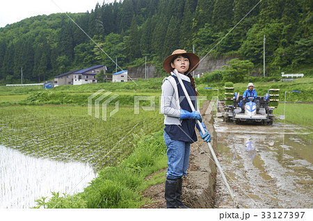 田植え 代掻きをする女性 田植え 代掻きをする女性 33127397