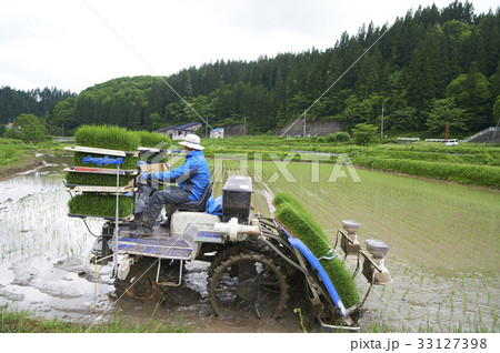 田植え 田植え機を運転する男性 田植え 田植え機を運転する男性 33127398