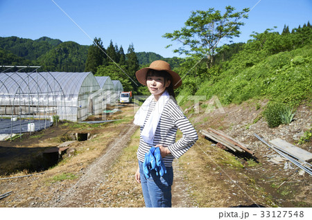 種苗の生育管理をする女性 33127548
