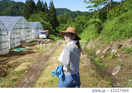 種苗の生育管理をする女性 種苗の生育管理をする女性 33127564