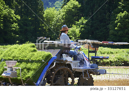 田植え機を運転する女性 33127651