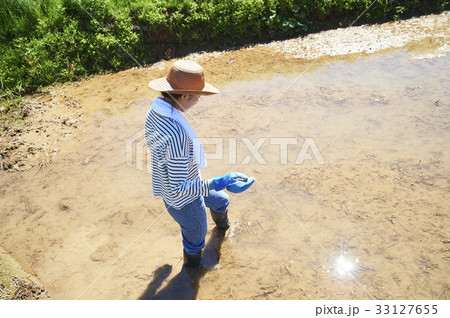 水田　農業　女性 33127655