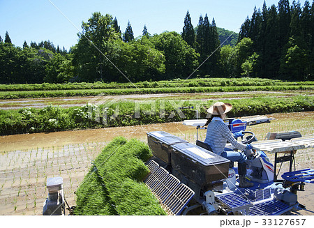 田植え機を運転する女性 33127657