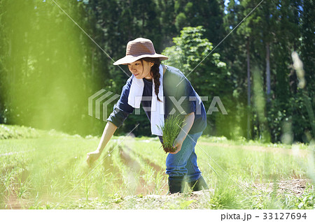 田植えをする女性 33127694