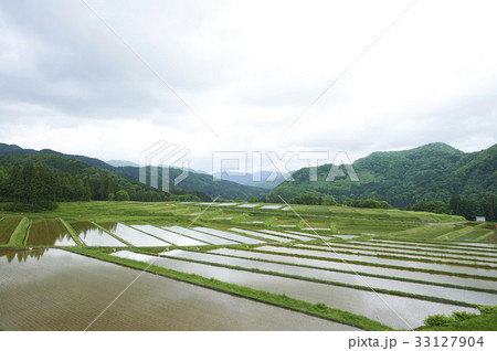 水田　棚田　米作り 33127904