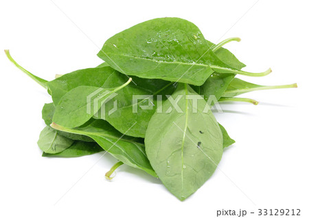 Matrimony vine leaf Matrimony vine leaf 33129212