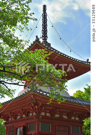 川越・喜多院 33129689