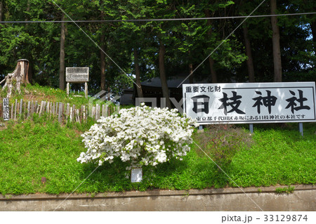 川越・日枝神社 33129874