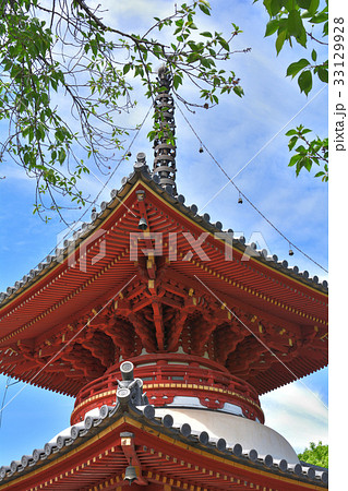 川越・喜多院 川越・喜多院 33129928